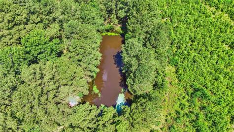 398 County Road 172 Jasper TX 75951