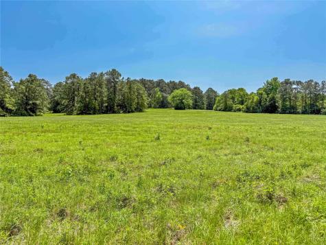 398 County Road 172 Jasper TX 75951