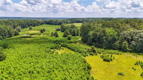 398 County Road 172 Jasper TX 75951