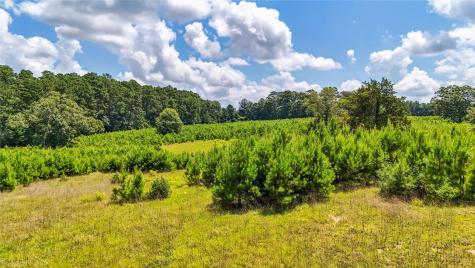 398 County Road 172 Jasper TX 75951