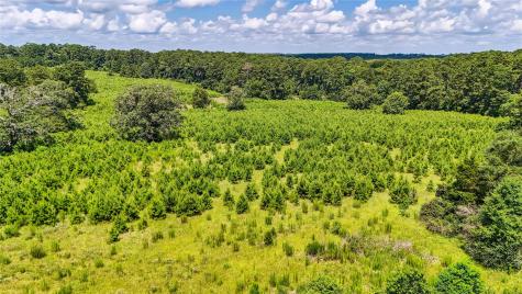 398 County Road 172 Jasper TX 75951