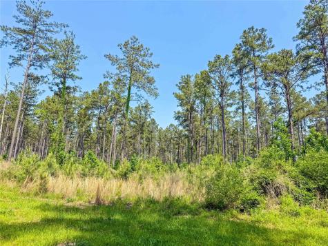 398 County Road 172 Jasper TX 75951