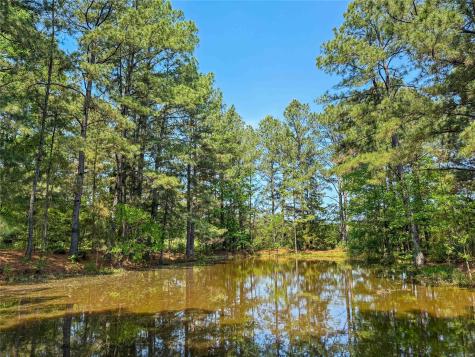 398 County Road 172 Jasper TX 75951
