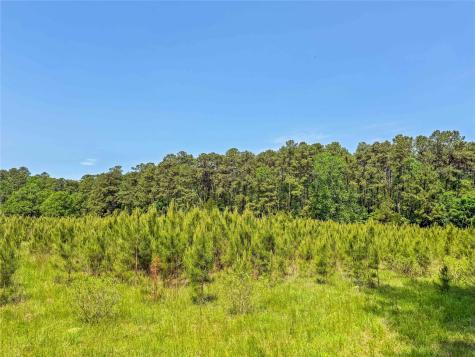 398 County Road 172 Jasper TX 75951