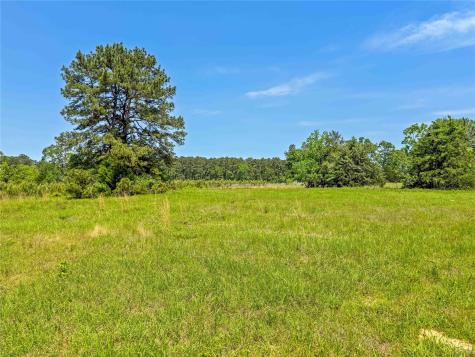 398 County Road 172 Jasper TX 75951