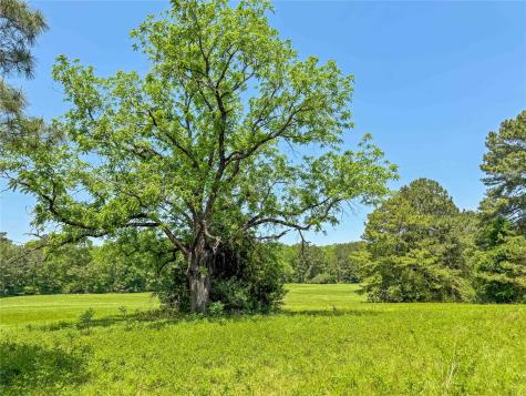 398 County Road 172 Jasper TX 75951