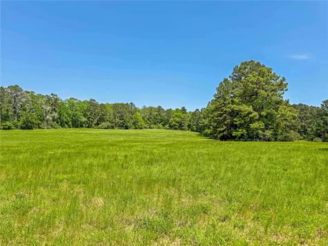 398 County Road 172 Jasper TX 75951