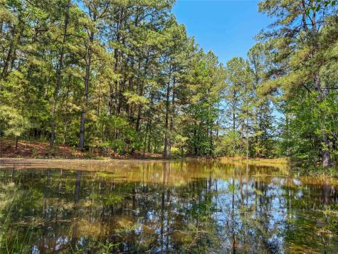 398 County Road 172 Jasper TX 75951