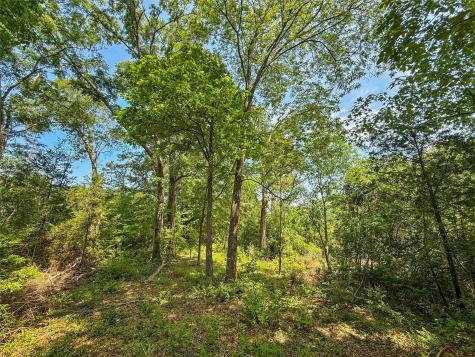 398 County Road 172 Jasper TX 75951