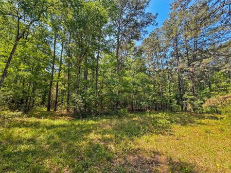 398 County Road 172 Jasper TX 75951