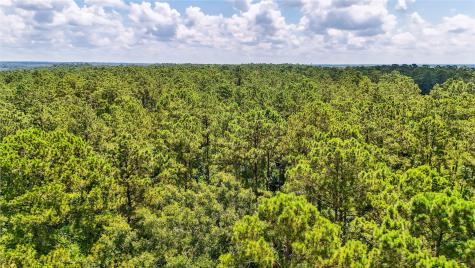 398 County Road 172 Jasper TX 75951