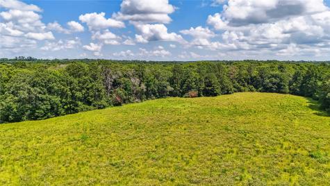 398 County Road 172 Jasper TX 75951