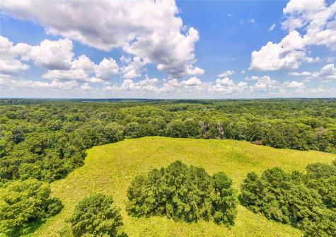 398 County Road 172 Jasper TX 75951
