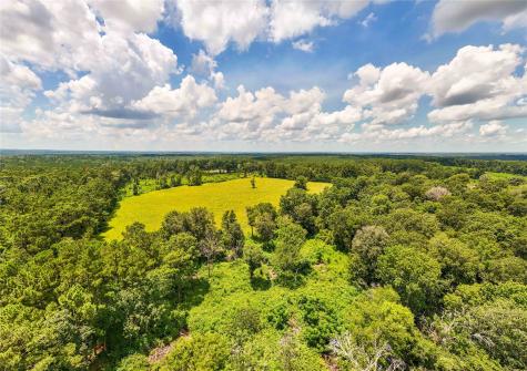 398 County Road 172 Jasper TX 75951