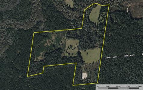 398 County Road 172 Jasper TX 75951
