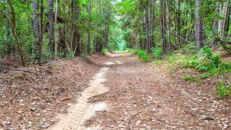 398 County Road 172 Jasper TX 75951