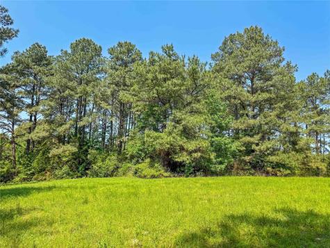 398 County Road 172 Jasper TX 75951