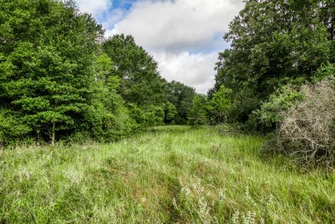 Tract 3 S Nassau Road Round Top TX 78954