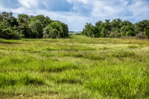 Tract 3 S Nassau Road Round Top TX 78954