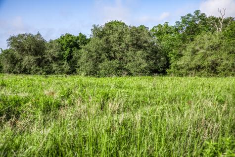 Tract 3 S Nassau Road Round Top TX 78954