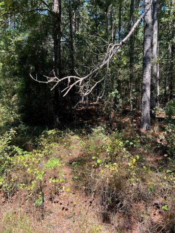 000 000 Eddington Road Marshall TX 75672