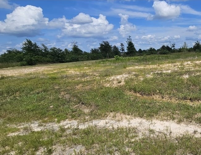 10121 Road 5839 Cleveland TX 77327
