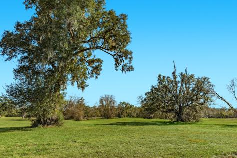 1119 Indian Ridge Rosharon TX 77583