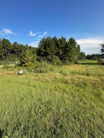 642 County Road 5015 Cleveland TX 77327
