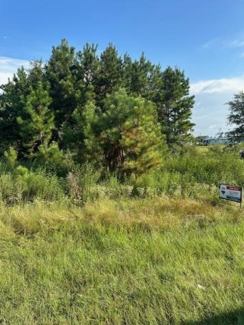 642 County Road 5015 Cleveland TX 77327