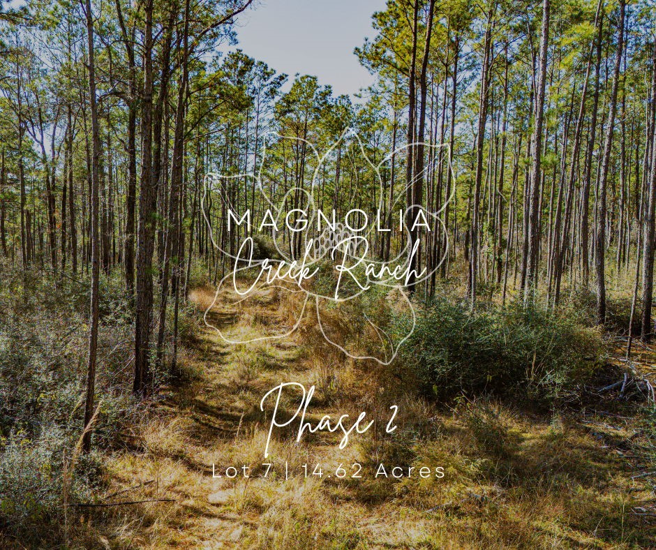 027 King Ranch Road South Road Onalaska TX 77360