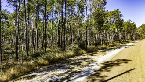027 King Ranch Road South Road Onalaska TX 77360