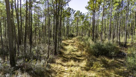 027 King Ranch Road South Road Onalaska TX 77360