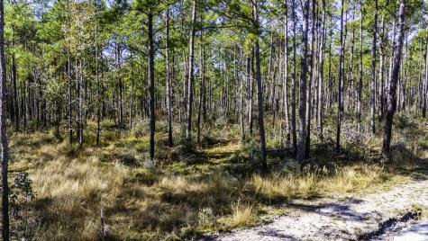 027 King Ranch Road South Road Onalaska TX 77360