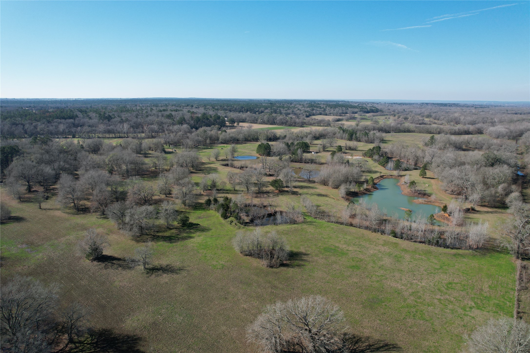 Tbd Fm 2076 / Cr 2065 Crockett TX 75835