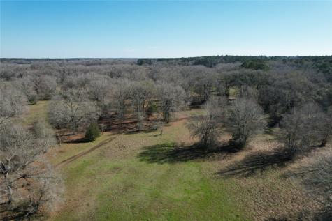 Tbd Fm 2076 / Cr 2065 Crockett TX 75835