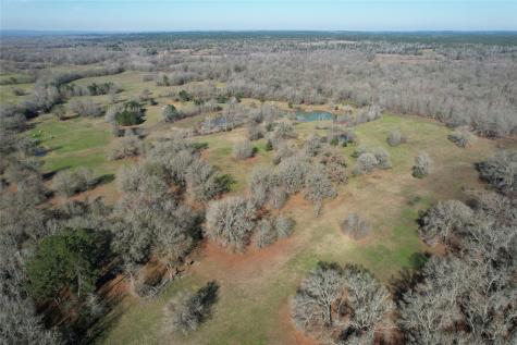 Tbd Fm 2076 / Cr 2065 Crockett TX 75835