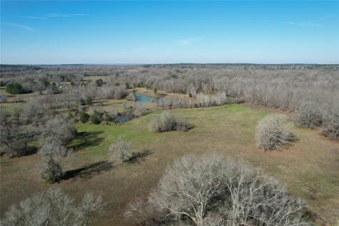 Tbd Fm 2076 / Cr 2065 Crockett TX 75835