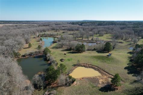 Tbd Fm 2076 / Cr 2065 Crockett TX 75835