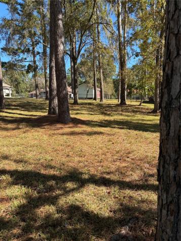 Tbd Bridgelanding---lot 54 Onalaska TX 77360
