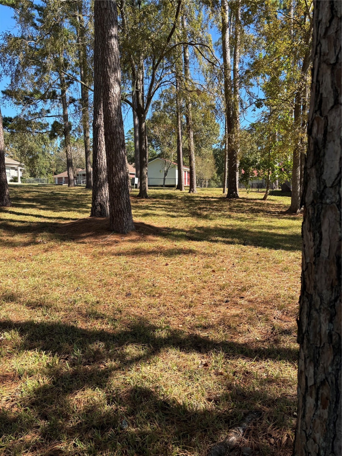 Tbd Bridgelanding---lot 54 Onalaska TX 77360