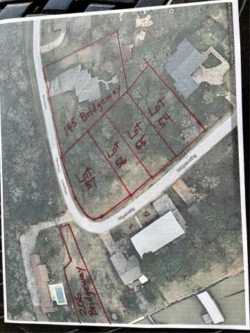 Tbd Bridgelanding---lot 54 Onalaska TX 77360