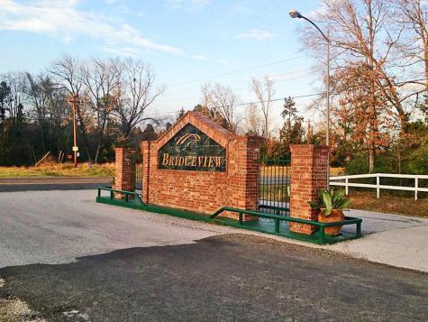 Tbd Bridgelanding---lot 54 Onalaska TX 77360
