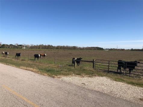 00 Dannhaus Road Needville TX 77461