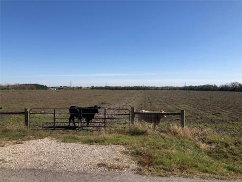00 Dannhaus Road Needville TX 77461