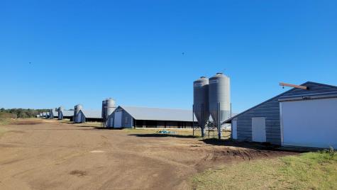 1945 County Road 2604 Alto TX 75925