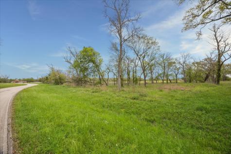 16219 Tankersley Drive Rosharon TX 77583