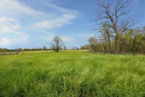 16219 Tankersley Drive Rosharon TX 77583