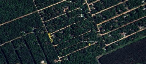 Tbd Foyt Drive Livingston TX 77351