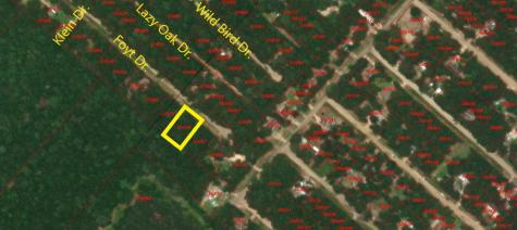 Tbd Foyt Drive Livingston TX 77351