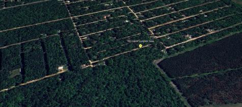 Tbd Foyt Drive Livingston TX 77351